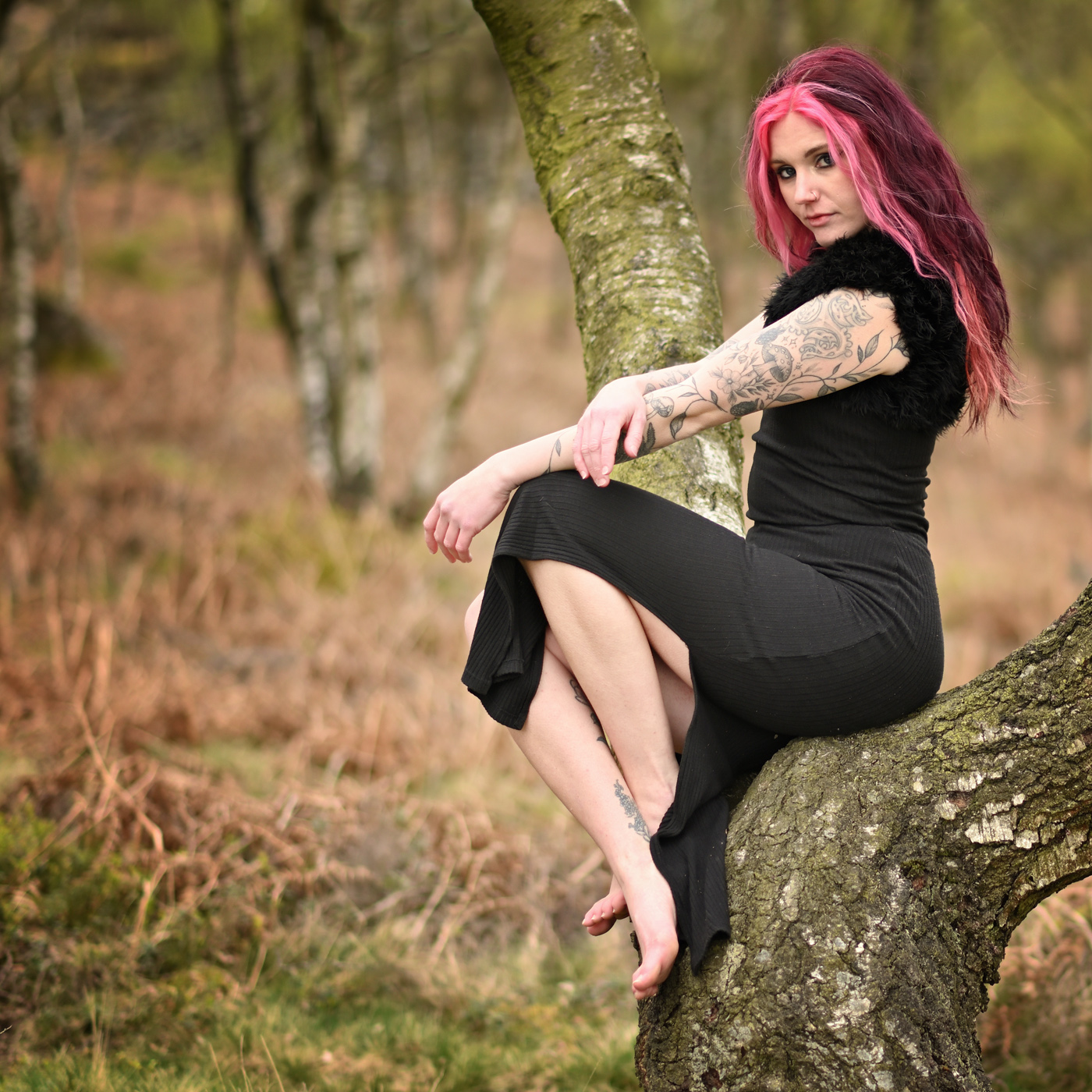 Up A Tree by Brian Parkin (Group 25)